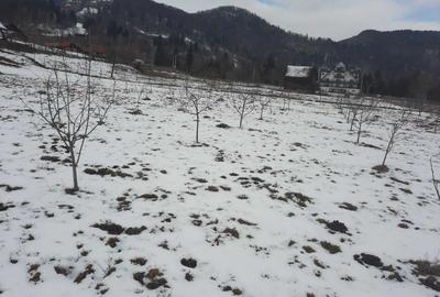 Casă cu 4 camere în Dâmbovicioara - 3