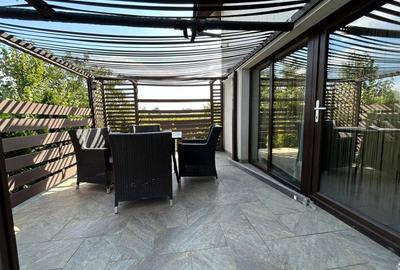 VILA CU 5 CAMERE, 150 MP UTILI, BECI, GARAJ, 717 MP TEREN, VISAN-BUCIUM - 25