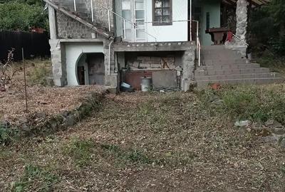 Casă cu 3 camere cu Teren 1800 Mp în Golești - 7