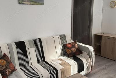 Apartament cu 2 camere semidecomandat, mobilat în Drumul Taberei - 1
