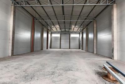 Spatiu depozitare/productie 500 mp, zona Sud - 8