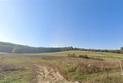 Teren intravilan de 12059 mp, în Budiului - 1