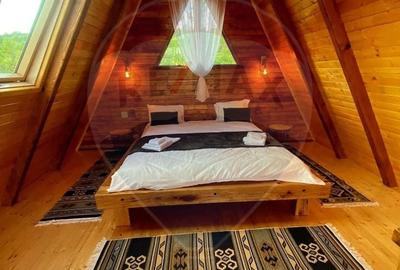 Casă cu 3 camere cu Teren 1256 Mp în Giulești - 11