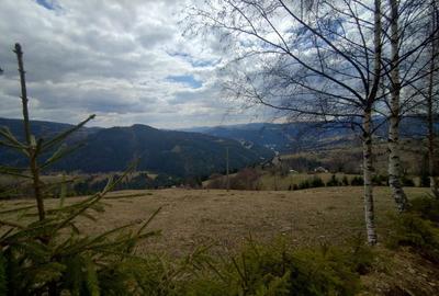 Spațiu comercial, în Horea - 3