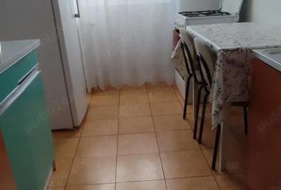 Apartament cu 2 camere semidecomandat în Sălăjan - 2