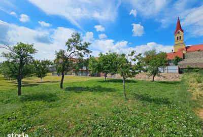 Casă cu 5 camere cu Teren 1200 Mp în Cenad - 8