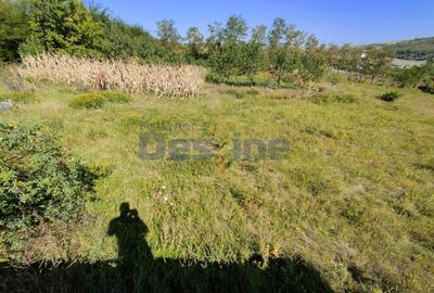 Casa langa PĂDURE + anexe + 6400 mp TEREN intravilan - sat HĂRPĂȘEȘTI - 16