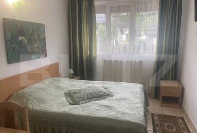 Pensiune + Restaurant + afacere la cheie Bro?teni, SV - 6