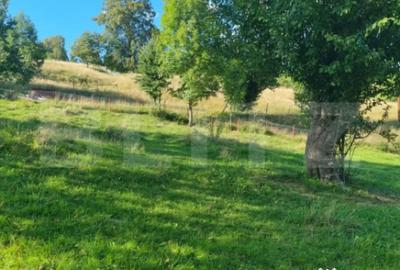 Teren de 2500 mp, în Central