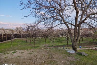 Casă cu 1 camere cu Teren 2000 Mp în Lăpuș Argeș - 2