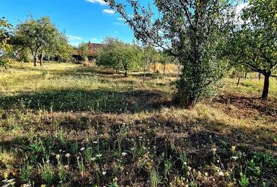 CASA CU TEREN 992 MP | SAT  SUPLACU DE TINCA | BIHOR - 16