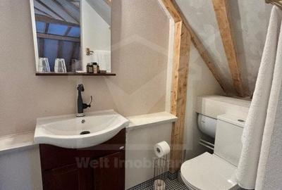 Oportunitate de business, zona ultracentrala, 8 camere - 22