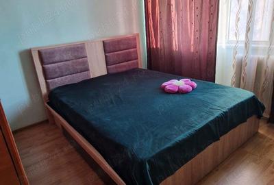 Apartament cu 3 camere decomandat în Gorjului - 6