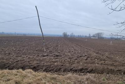 Teren Construcții intravilan de 2.3099999427795 mp, în Bucecea - 1