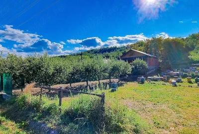 Casă cu 3 camere în Boțești - 8