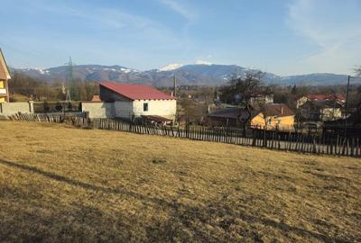 Teren de 767 mp, în Exterior Vest - 5