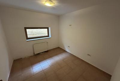 Proprietate cu piscina Dumbravita - 36