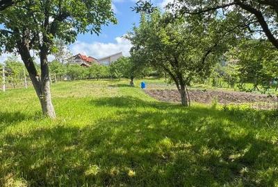 Casă cu 4 camere în Lazaret - 6