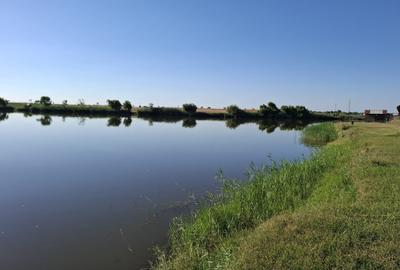 Proprietate specială, de 120,000 mp, în Ciocârlia - 1