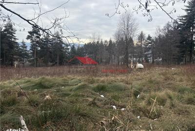 Spațiu comercial, în Prundu Bârgăului - 8