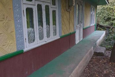 Casă cu 3 camere în Ireasca - 8