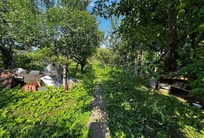 Vanzare Vila P+M - Boldesti Scaeni 165 mp utili o 1676 mp teren - 6