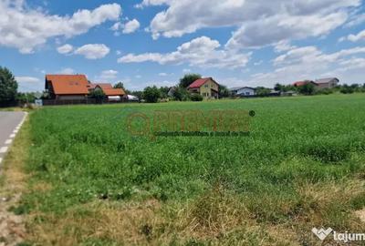 Teren de 9470 mp, în Bolintin-Deal - 11