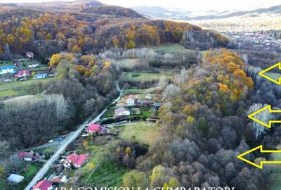 PADURE LANGA ORAS, ACCES BUN, IDEALA PENTRU ACTIVITATI DE AGREMENT - 5