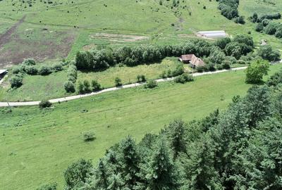 Teren de 8000 mp, în Micești - 5