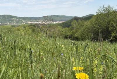 Teren de 500 mp, în Predeluț
