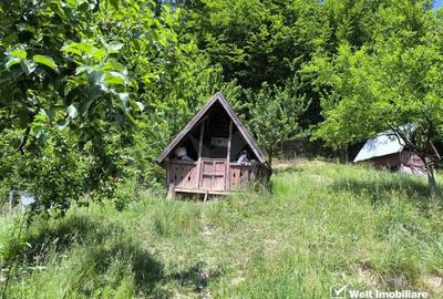 Casa de vacanta, cu lac, 5640 mp teren, Huta, com. Chiuiesti, jud. Cluj - 30