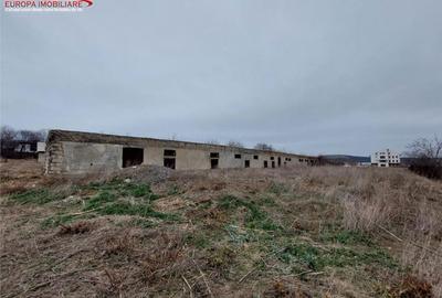 Teren de 6300 mp, în Babadag - 2