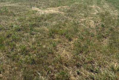 Teren Construcții intravilan de 1400 mp, în Popești - 4