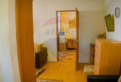 Apartament cu 2 camere de inchiriat in Deva - 8