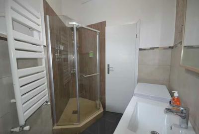 Garsonieră nedecomandată în Dacia - 7