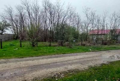 Teren de vanzare, judet Ialomita, comuna Salcioara, Rasi - 4