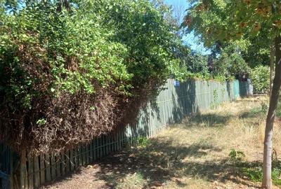 Casă cu 3 camere cu Teren 379 Mp în Central - 4