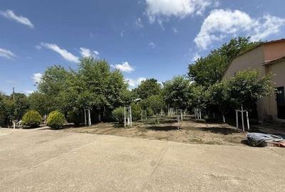 Casă individuală cu 10 camere cu Teren 4000 Mp în Centură - 16