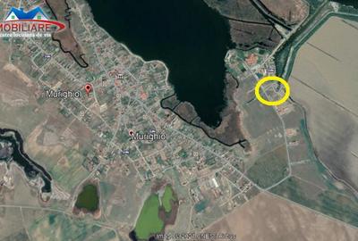 Teren de 2000 mp, în Murighiol