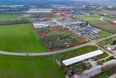 Teren 1,5ha intravilan curti constructii de vanzare Centura Arad Nord - 5