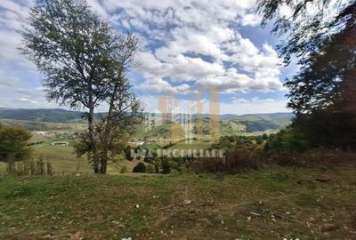 Teren de 40000 mp, în Central - 1
