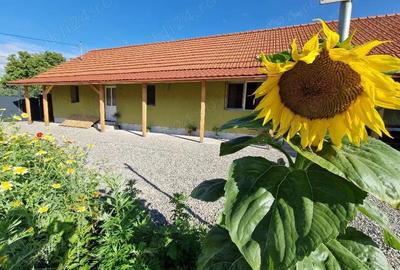 Casă cu Teren 800 Mp în Vama Buzăului - 10