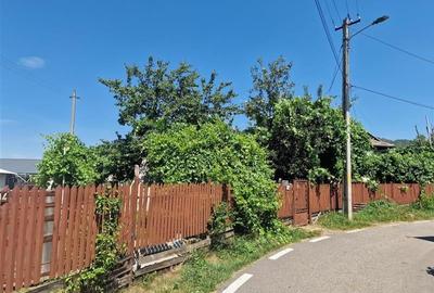 Casa traditionala, cu 2.000mp teren roditor, Izvoarele, Prahova - 15