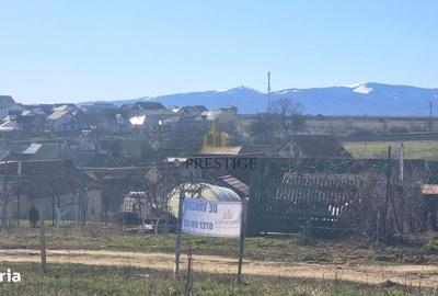 Spațiu comercial, în Cristian - 9