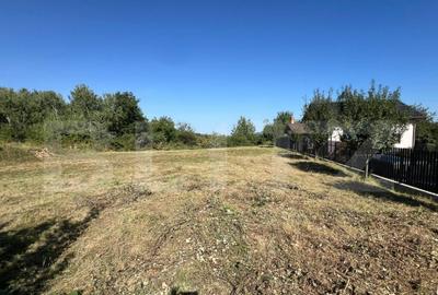 Teren de vanzare 925 mp, zona Valea Jelnei - 4