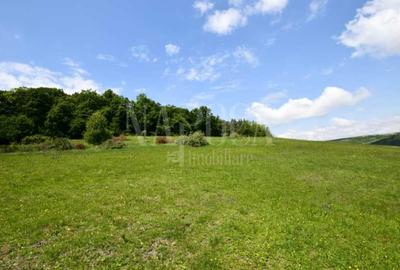 Teren intravilan pentru constructii de vanzare in Chinteni - 5