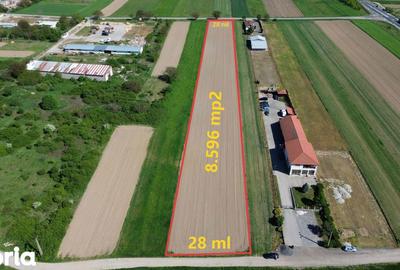 Teren de 8596 mp, în Gavojdia - 2