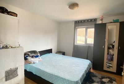 Vand casa pe parter, Valea Mare , teren 594 mp, 75000 euro - 19