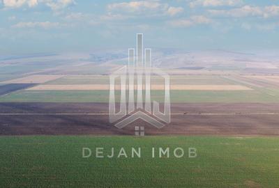 Teren agricol extravilan de 5 mp, în Moacșa - 4