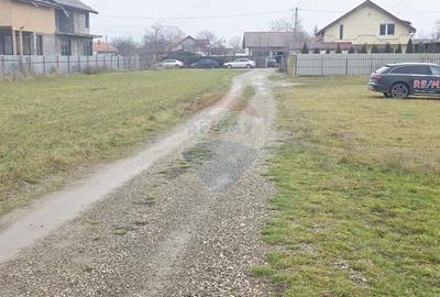 Teren 519mp Dumbrava Rosie / Strada CRANGULUI - 1